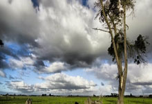 开云体育中国-湖人意甲爆冷负东契奇领衔劲旅！积分震荡暗藏体坛新变局