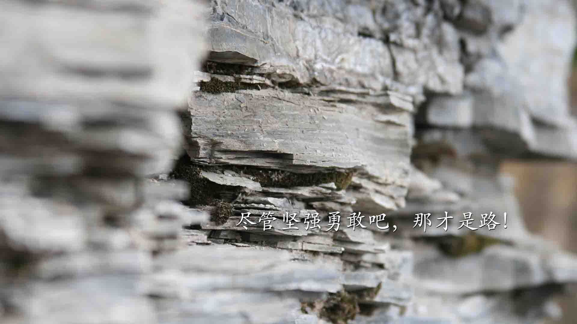 时间折叠，西西帕斯用两个冠军，完成一场相隔十年的自我问答