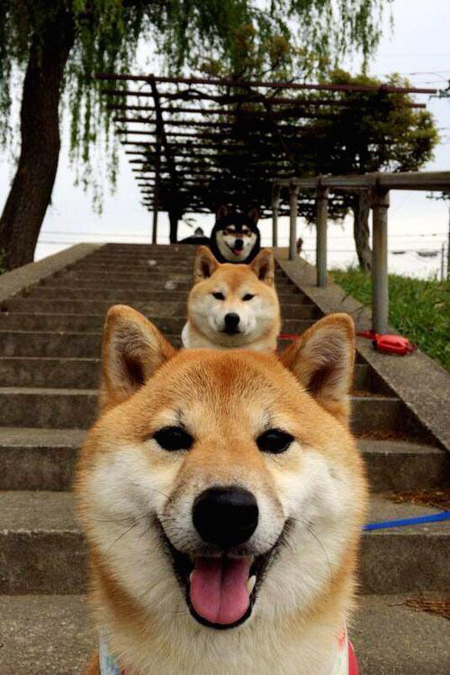 鏖战伊蒂哈德，当桑巴风暴席卷蓝色王朝—记那个让众神交锋之夜与绿茵哲学家蒂亚戈