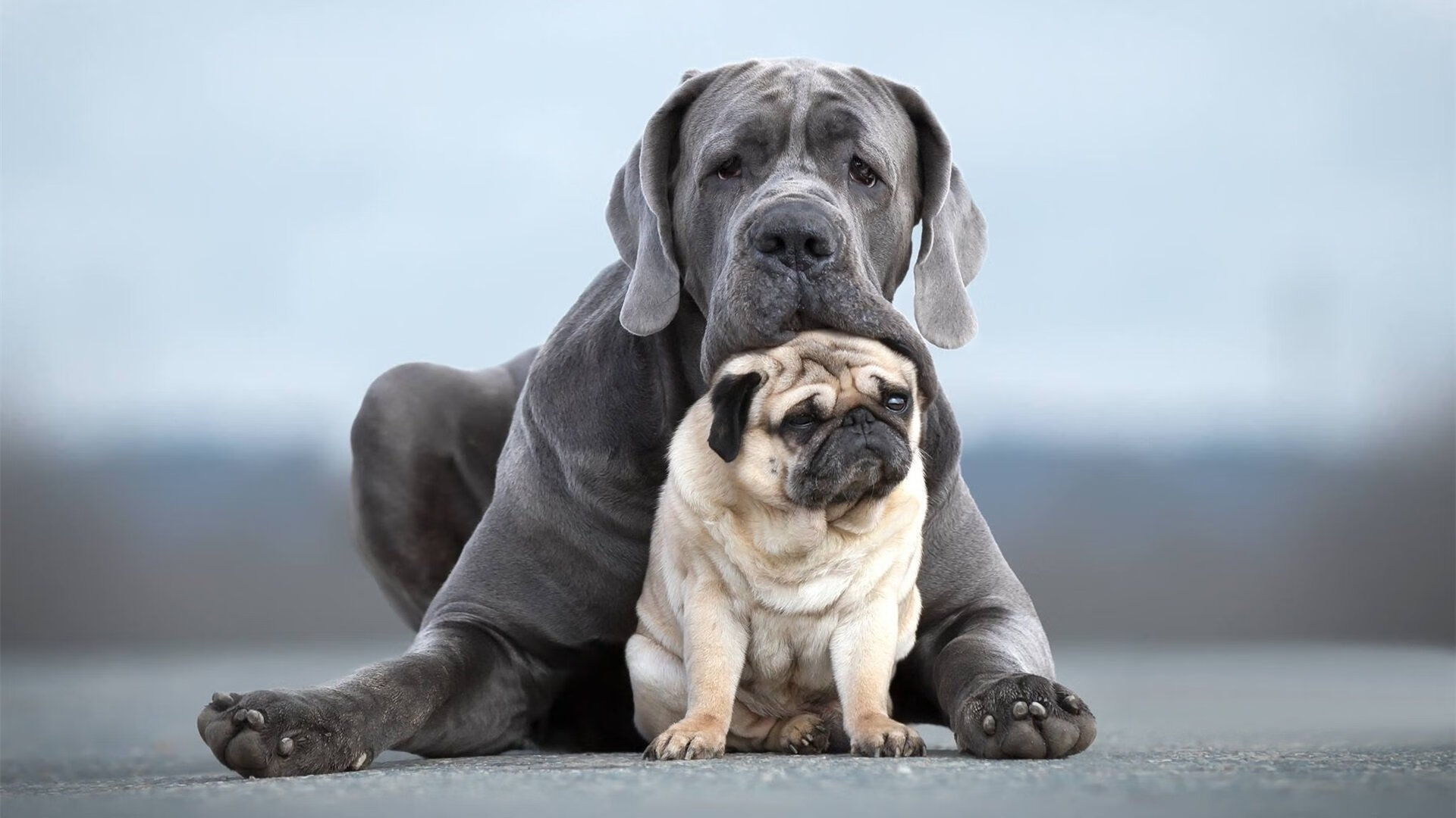 开云sport-亚洲风暴撕裂伯纳乌夜空，王座崩塌夜，巴斯托尼如何将皇马钉上战术耻辱柱