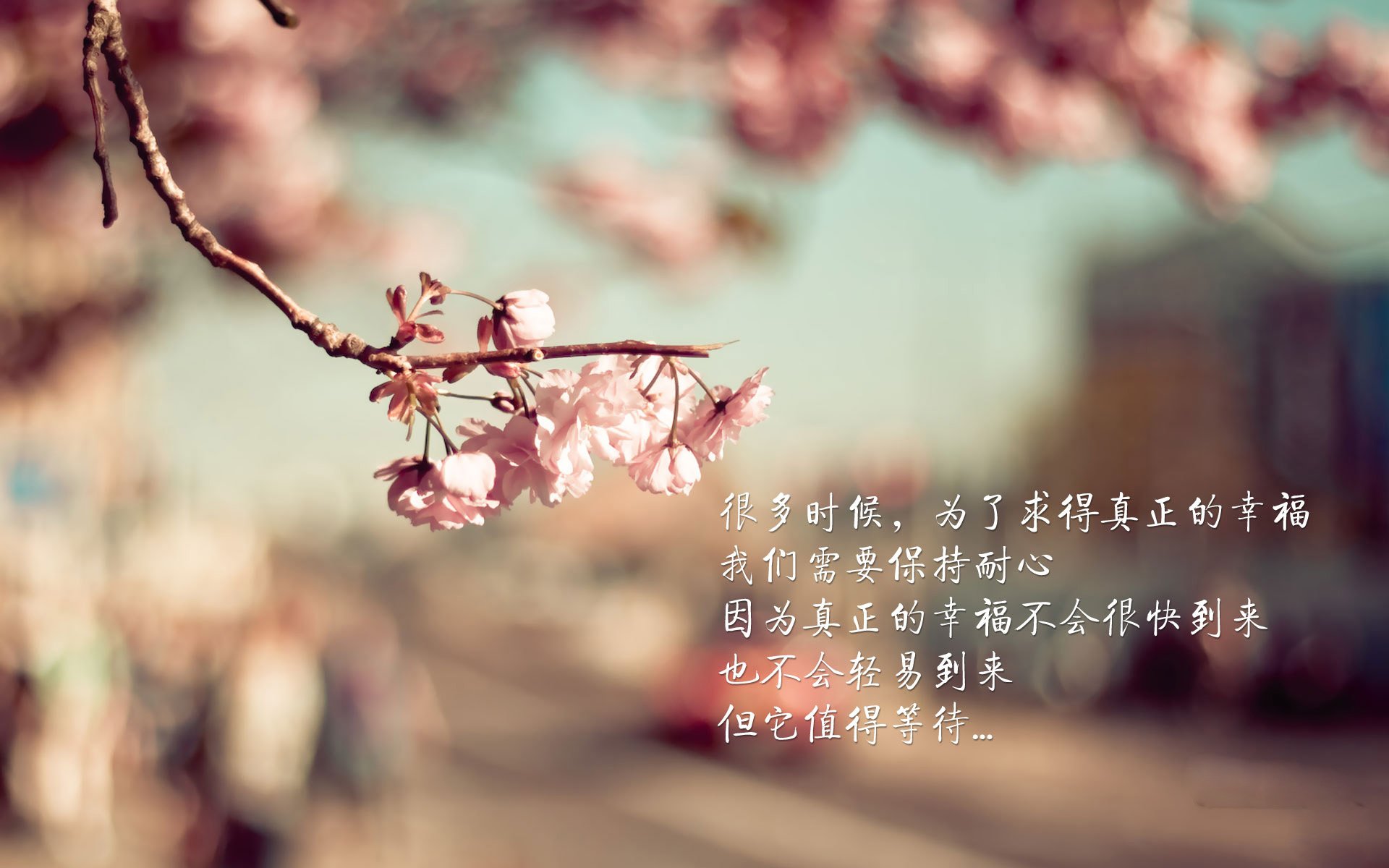 狂暴与精密仪器,德罗赞的逆焰与猛龙的节奏统治