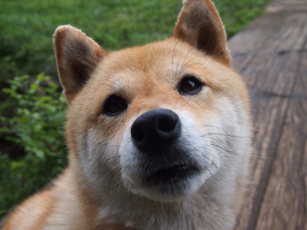 开云体育中国-手术刀与交响乐，巴尔韦德如何用持续杀伤切割多特蒙德