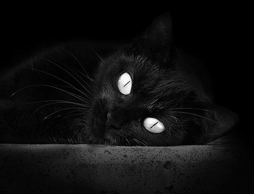 开云体育入口-毒蛇的庆典，F1年度争冠夜，那个局外人撕碎了冠军剧本