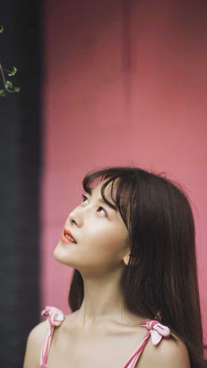 圣殿骑士的暗夜之光,当弗拉霍维奇在罗马天空写下唯一