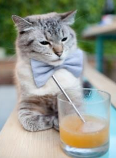 篮网对阵北京队,西亚卡姆虎入羊群,上演世纪个人统治秀