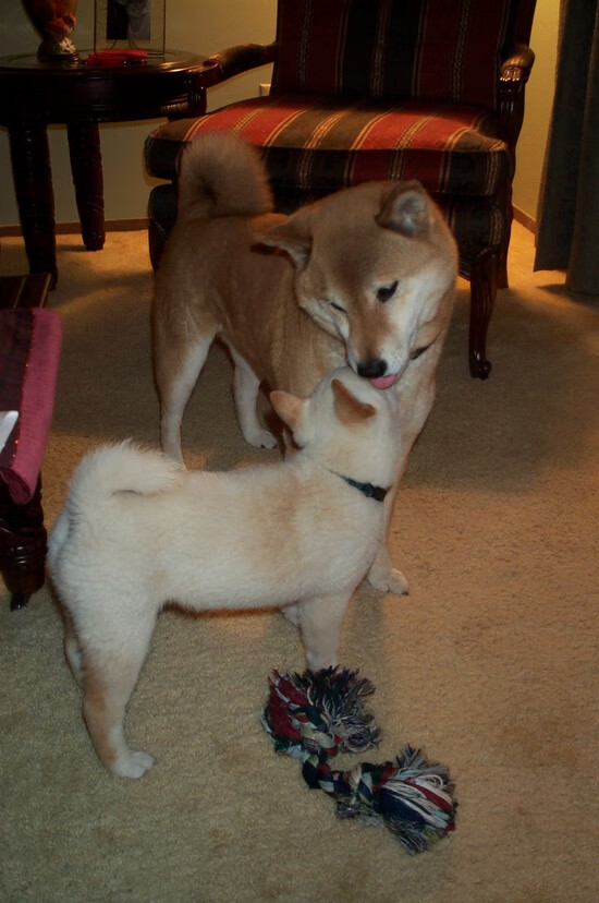 跨界烽火，拉梅洛末节统治攻防，热火实验性阵容击溃山西队引爆排名争夺战悬念