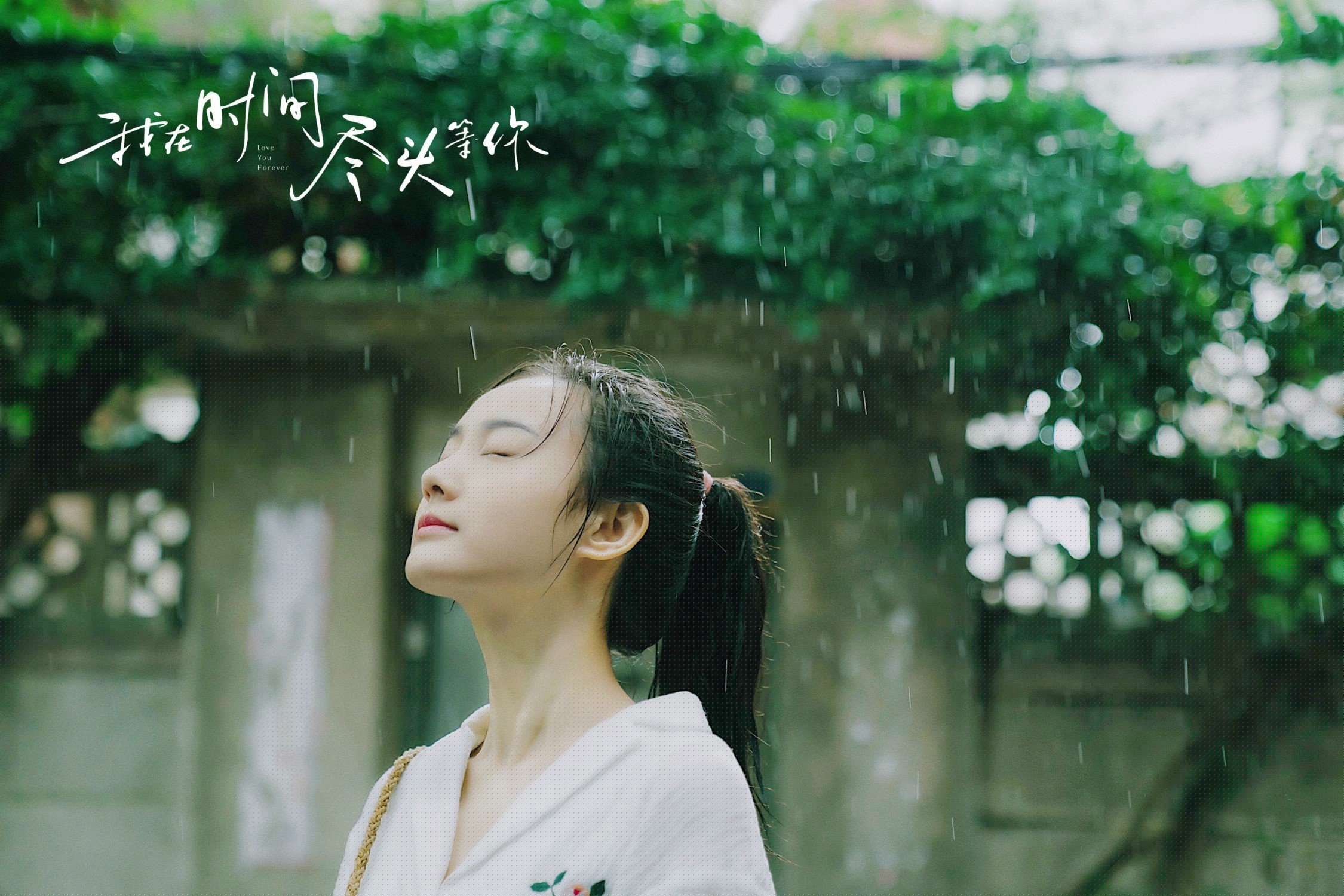 奥运周期关键战之夜，霍勒迪打出统治级数据，今夏定义战