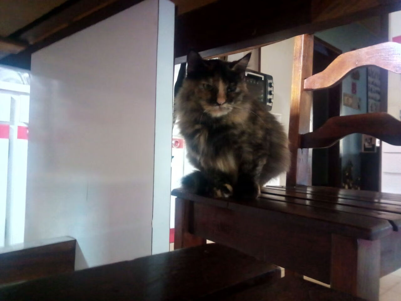 心跳归零前的一剑，雷恩如何用0.8秒终结与加拿大的七年恩怨？