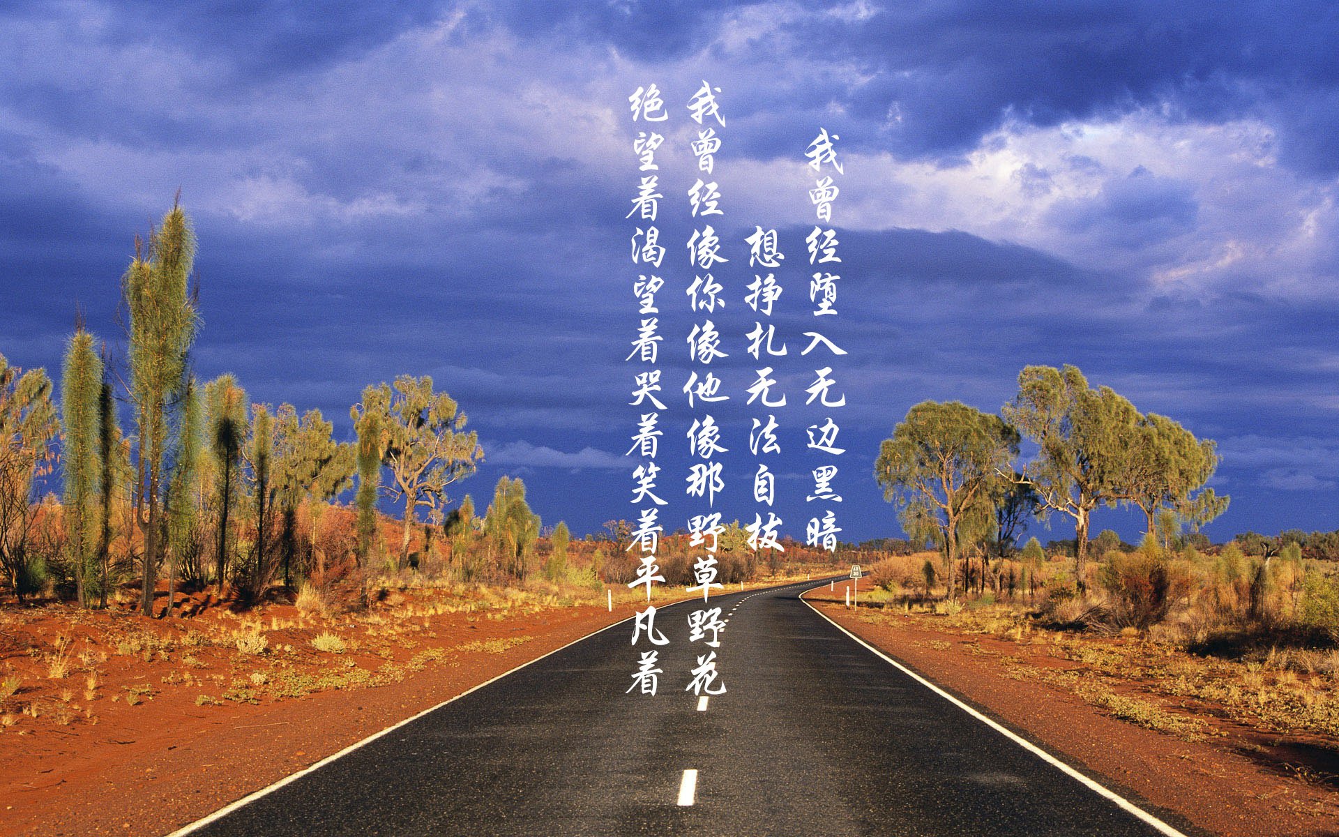 开云体育官网-蓝白风暴下的孤城，京多安调度乾坤，厄瓜多尔完胜波兰书写B组唯一剧本