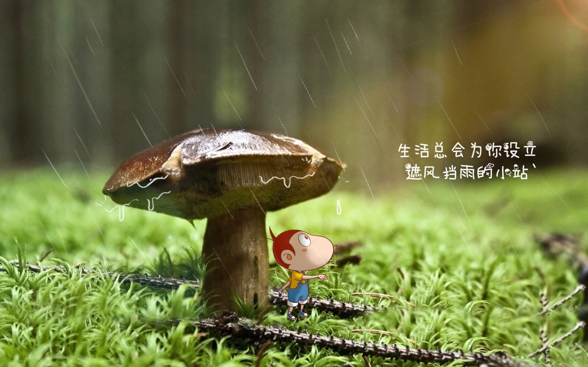 孤星闪耀—突尼斯铁幕之下,哈兰德一击定乾坤,世界杯头名之争颠覆格局