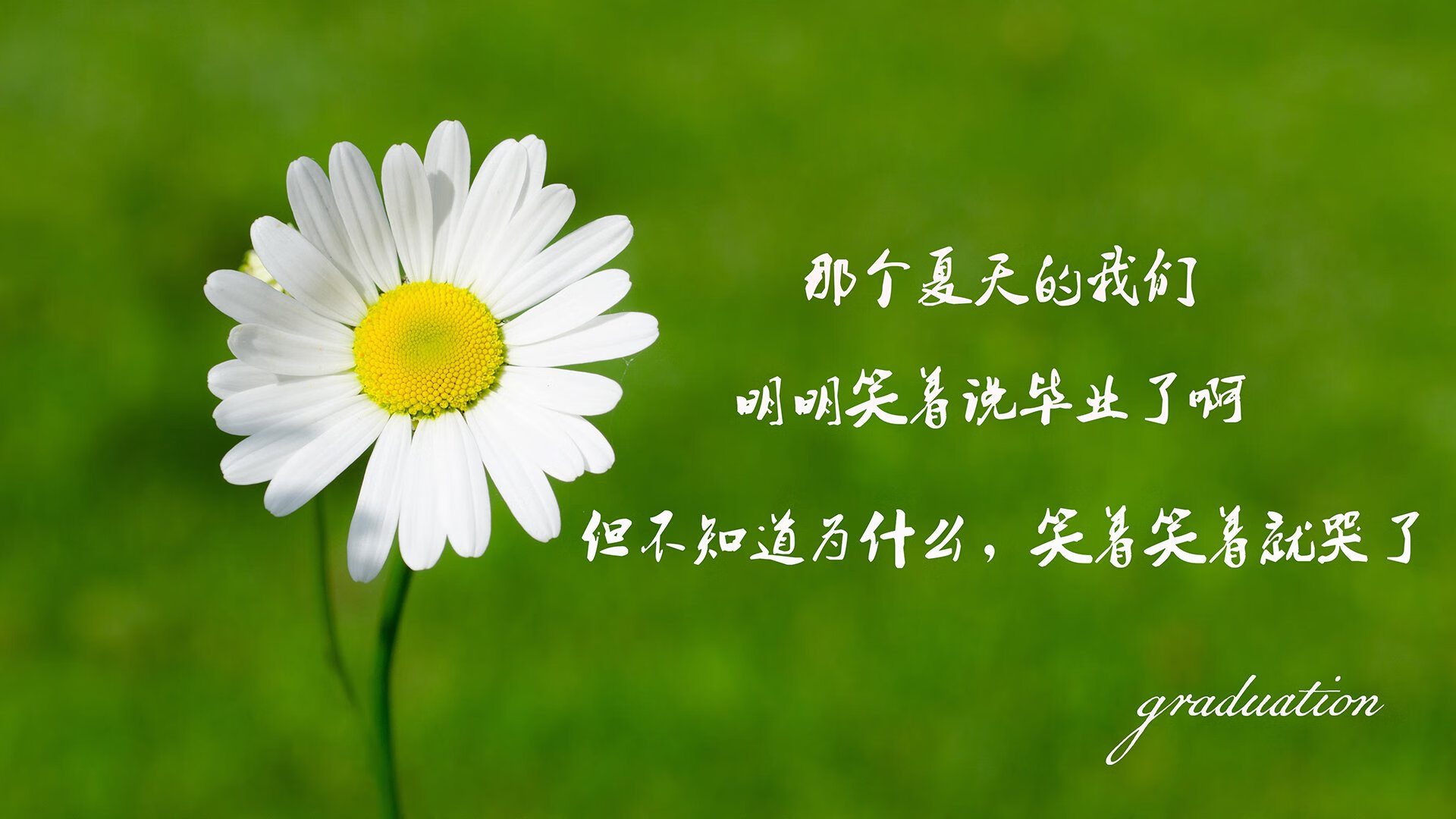 开云体育入口-宿命之巅，2026世界杯A组强强对话，哥伦比亚绝地反击险胜印度，范戴克铁血闪耀改写生死战